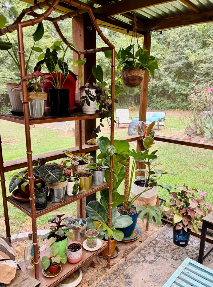 A copper shelf on a screened porch packed with potted houseplants