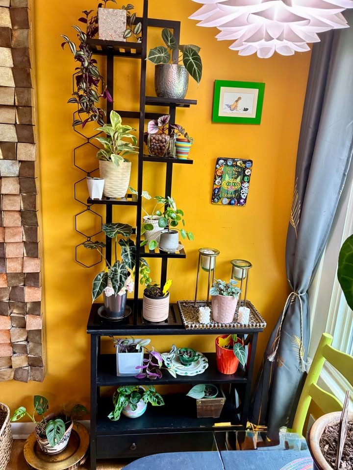 A tall black plant stand full of houseplants against a yellow wall